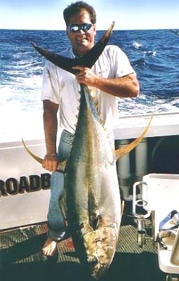 We took them for granted but a come back is going to happen in the near future